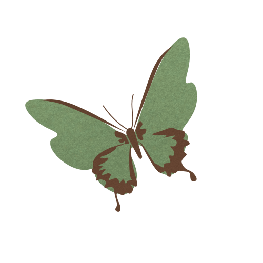 green butterfly